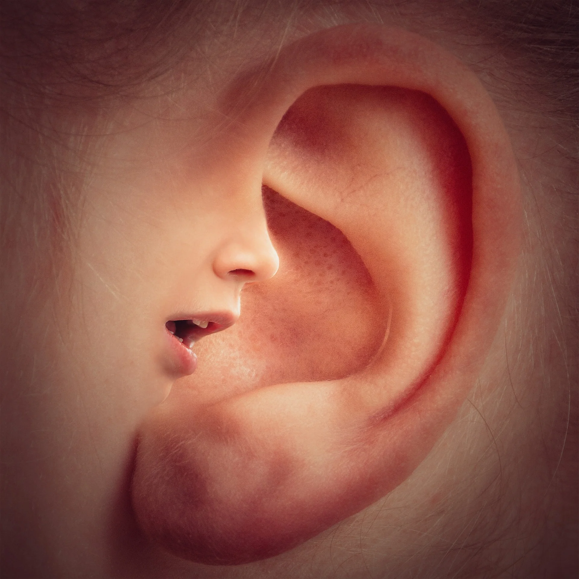 Inner voice in ear